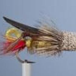 MOUCHE SAUTERELLE 2 H10