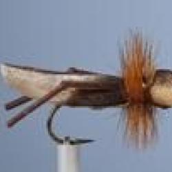 MOUCHE SAUTERELLE 4 H10 NPC