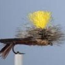 MOUCHE SAUTERELLE 6 H14 NPC