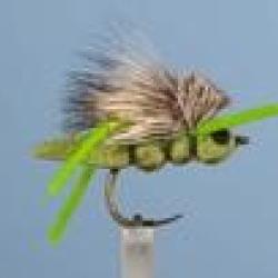 MOUCHE SAUTERELLE 10 H12