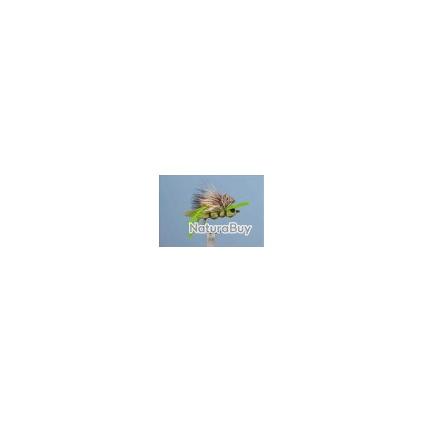 MOUCHE SAUTERELLE 10 H12