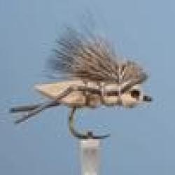 MOUCHE SAUTERELLE 11 H12 NPC