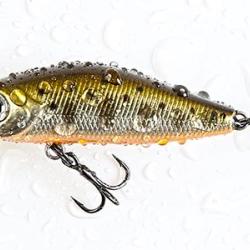 MINN SHAD 58SP SR 584