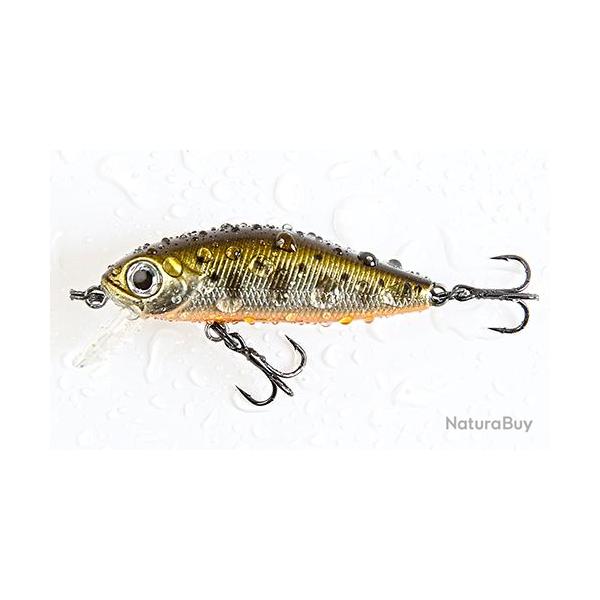 MINN SHAD 58SP SR 584