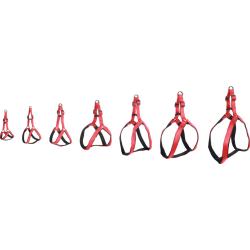 CHIEN HARNAIS STEPANDGO ROUGE L 60-74CM 20MM