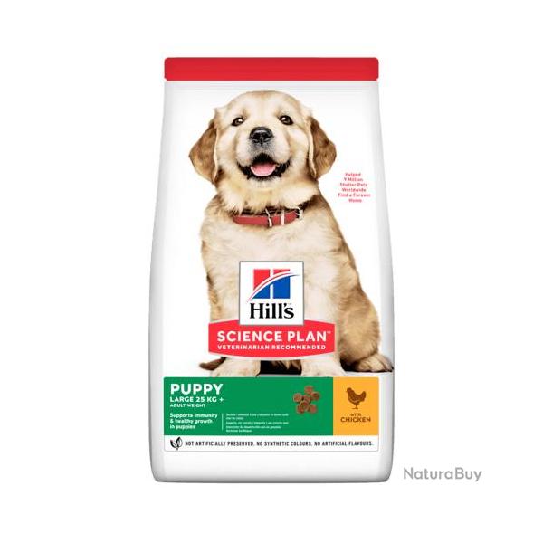HILLS CANINE PUPPY LARGE BREAD POULET 16KGS