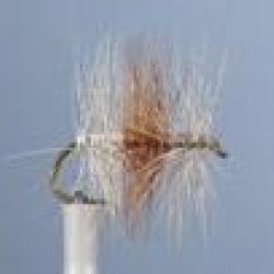 MOUCHE TRICOLORE CLAIRE H18