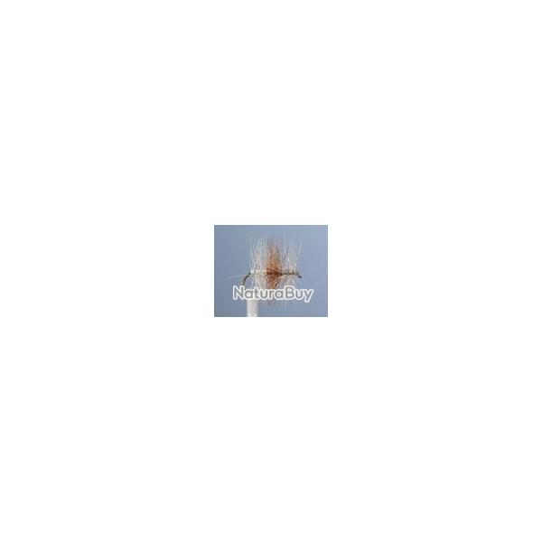 MOUCHE TRICOLORE CLAIRE H18