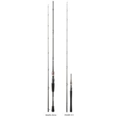 CANNE DAIWA EXCELER CASTING 2022 NPC 2m03 H (heavy) 14-42gr