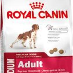 MEDIUM ADULT 15KGS