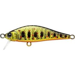 POINTER 50S 871-BGR Amago