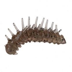 MAGIC LARVA 3.5CM PAR 6 Spy larva