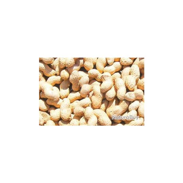 ARACHIDE ENTIERE 10KGS