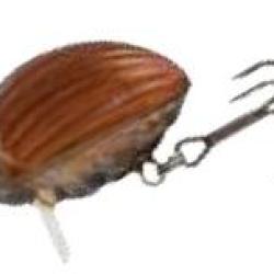 LIL BUG 3CM 4.3GR NPC May bug