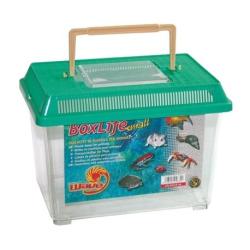 BOXLIFE SMALL 23CM