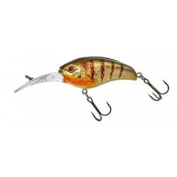 GIGAN 55 F Hl perch NPC