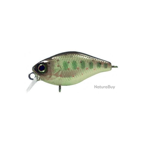 CHUBBY 38 FLOTTANT ILLEX Truitelle
