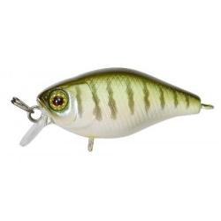 CHUBBY 38 FLOTTANT ILLEX Vairon