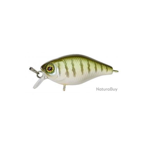 CHUBBY 38 FLOTTANT ILLEX Vairon