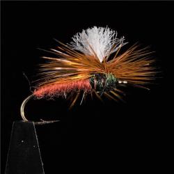 MOUCHE DC 3 H12 PAR 3