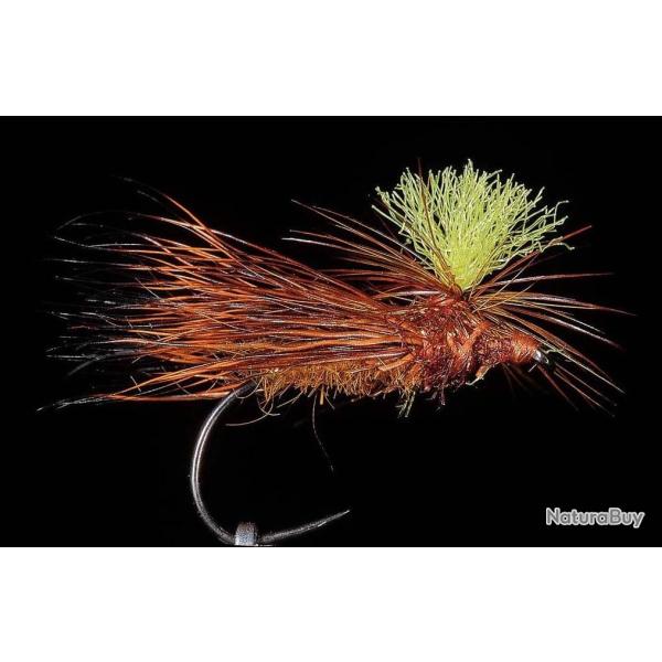 MOUCHE DC 37 BL H16