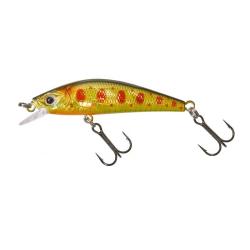 GAMERA 50 HW Hl brown trout NPC