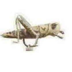 MOUCHE SAUTERELLE 20 H8