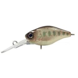 DIVING CHUBBY 38 FLOTTANT NPC Truitelle