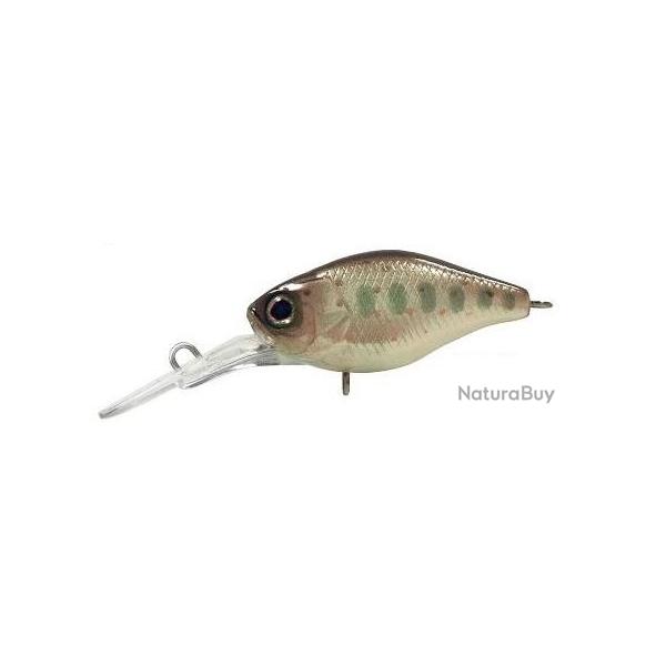 DIVING CHUBBY 38 FLOTTANT NPC Truitelle