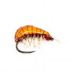 MOUCHE GAMMARE GM06 H14 BL