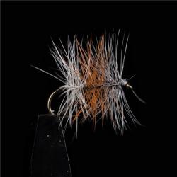 MOUCHE TRICOLORE CLAIRE H16 PAR 3