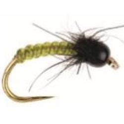 NYMPHE DELACOSTE RHYACHOPHILA PAR 1 Taille 2 - 0.31gr