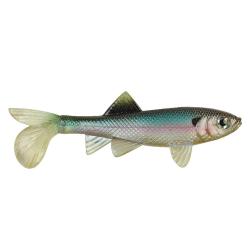SICK FICH 10CM PAR 2 NPC Ghost minnow