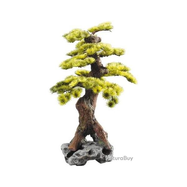 DECOR BONSAI L 260X230X380MM
