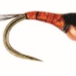 NYMPHE DELACOSTE PERDIGONE ORANGE PAR 1 Taille 2 - 0.23gr