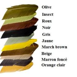 SUBSTITUT DE CONDOR JMC Olive