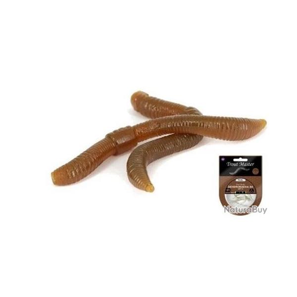 DENDROBAENA 6CM NATURAL PAR 15