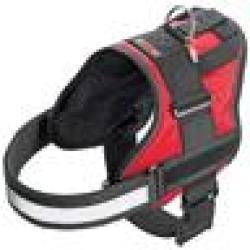 HARNAIS TITAN ROUGE L 65-77CM 40MM