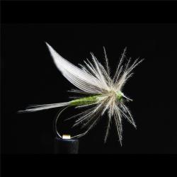 MOUCHE ORNANS 22 BL H16