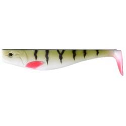 DEXTER SHAD 150 PAR 1 Perch NPC