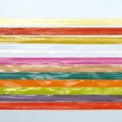 CORPLAST JMC 6mm Orange