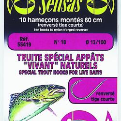HAMECONS MONTES TRUITE RENV TIGE COURTE 10/16 NPC