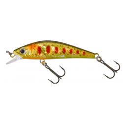 GAMERA 54 SHW Hl brown trout