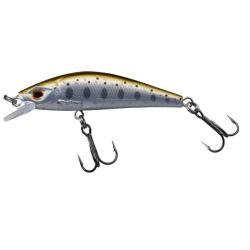 GAMERA 54 SHW Sight trout