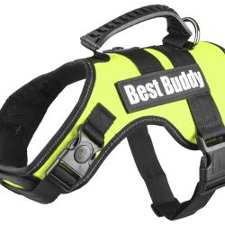 HARNAIS BEST BUDDY URANUS NEON VERT XL 80-115CM 50MM