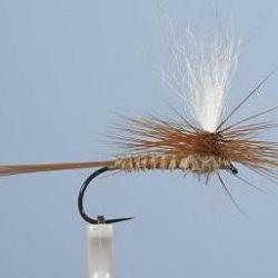 MOUCHE DC 54BL H12 NPC