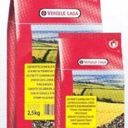 TOURNESOL STRIE PAQUET FRAICHEUR 600GR