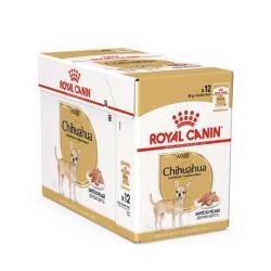 CHIHUAHUA ADULT 12X85GR