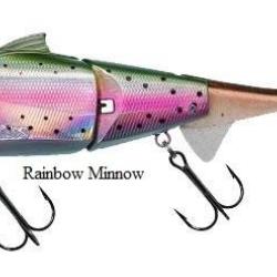 DOGORA WAKE 170 FLOTTANT NPC Rainbow minnow