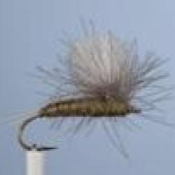 MOUCHE JMC 27 H10